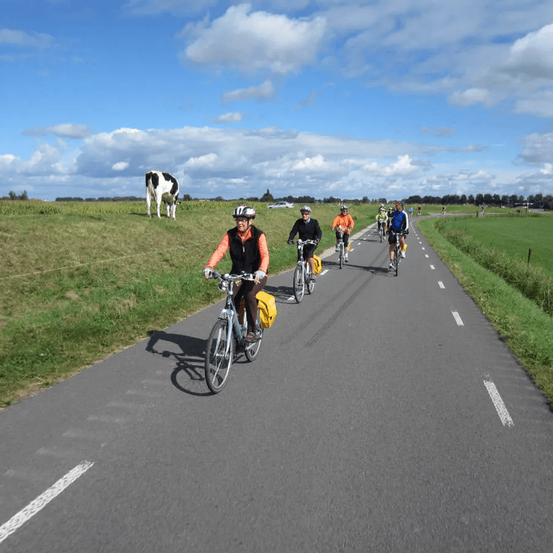 Webdesign Uitgeest, Project Direct, Timo van Tilburg, Snel een Webdesigner Uitgeest, Website laten maken Uitgeest, Website laten bouwen Uitgeest, SEO Uitgeest, SEA Uitgeest, Online Marketing Uitgeest, Wordpress Uitgeest, Zoekmachine optimalisatie Uitgeest